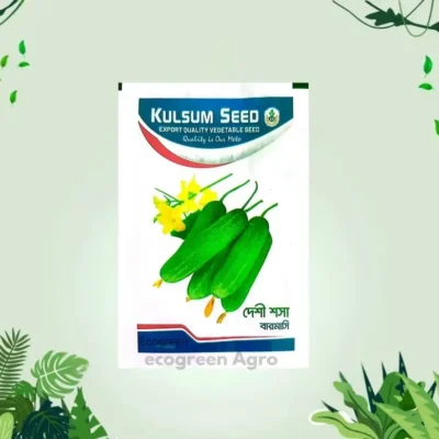 Deshi Cucumber দেশী শশা বারোমাসি ৩ গ্রাম (Intact Packet)
