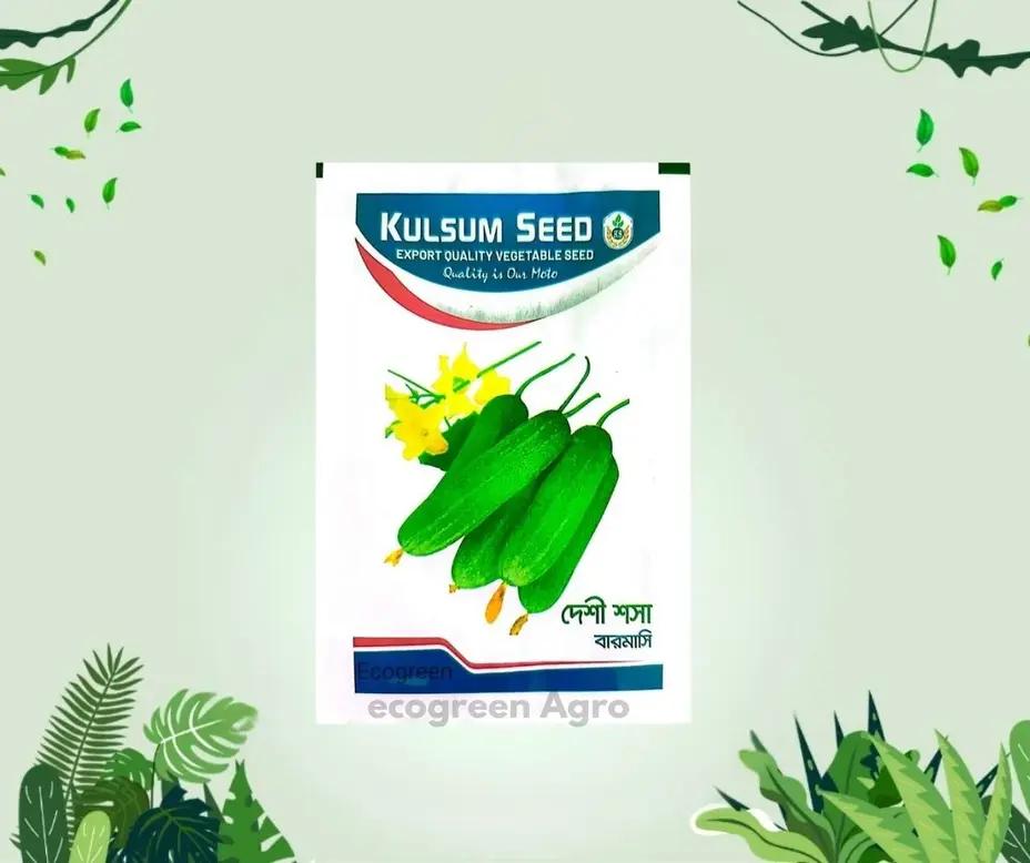 Deshi Cucumber দেশী শশা বারোমাসি ৩ গ্রাম (Intact Packet)
