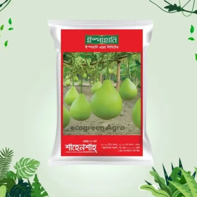 Hybrid (F1) Bottle Gourd Sahensha (লাউ) Seeds -  (Ispahani Seed)