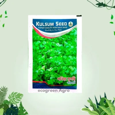 Sugondhi Coriander সুগন্ধি বারোমাসি ধনিয়া ৫ গ্রাম গ্রাম