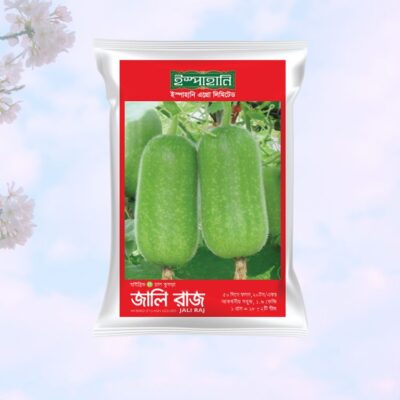 Hybrid (F1) Ash Gourd (চাল কুমড়া) Seeds- 1gm (Ispahani Seed)