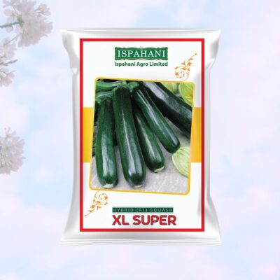 Hybrid F1 Squash XL-SUPER (স্কোয়াশ) Seeds Mini pack (Ispahani Seed)