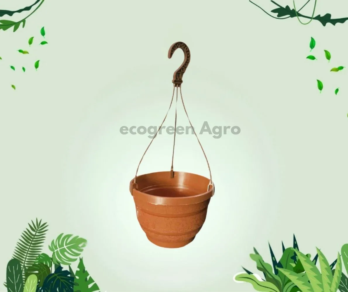 8 Inch Garden Hanging Planter (BP) - 1 Pcs