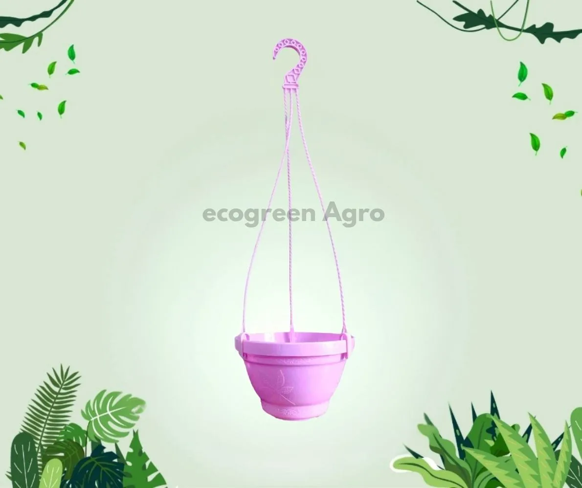6 Inch Garden Hanging Planter (BP) - 1 Pcs