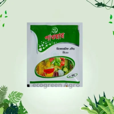 Power Tablet 10gm Gibberellic Acid 10%