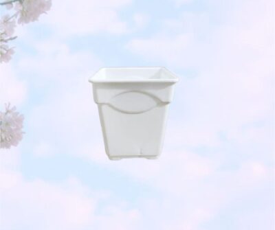 2.5 inch Thai Orchid Tub