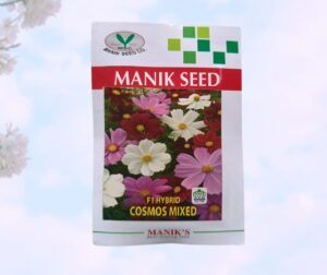 F1 Cosmos (কসমস) flower seed mixed color