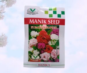 F1 Balsam Flower Seed Mixed color