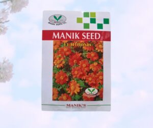 F1 Tithonia Flower Seed