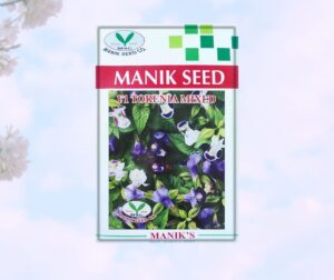 Torenia  Flower Seed Mixed color