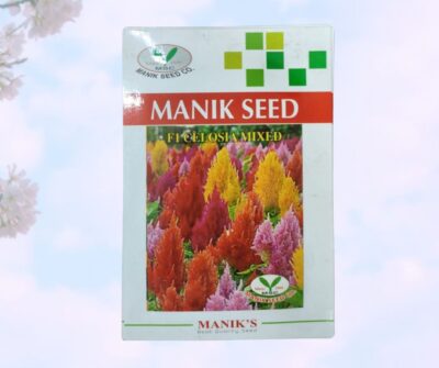 Celosia Flower Seed Mixed color