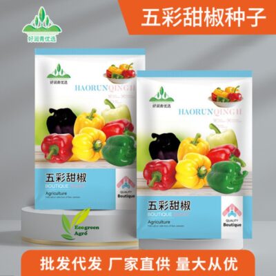 Mixed colour capsicum 100 seeds রঙিন ক্যাপসিকাম