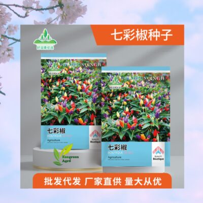 Ornamental chilli কালারিং মরিচ