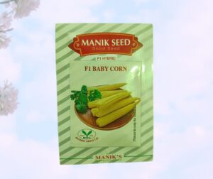 F1 BABY CORN