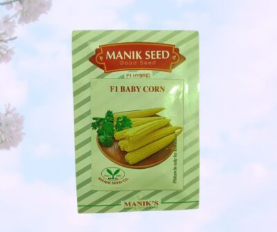 F1 BABY CORN