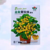 Cherry Tomato Seed (Yellow) Imported