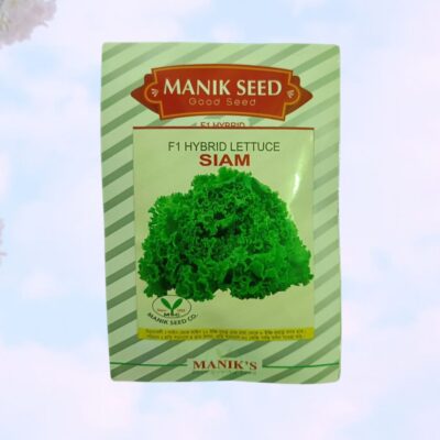 F1 HYBRID LETTUCE