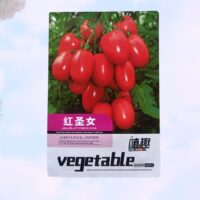 Cherry Tomato Seed (Red) Imported