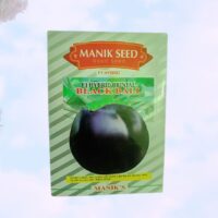 F1 Brinjal Black Ball (তাল বেগুন)