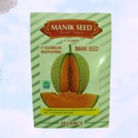 F1 ROCKMELON সাম্মাম MADHURIMA 10gm