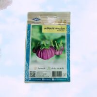 Thai purple eggplant বেগুন