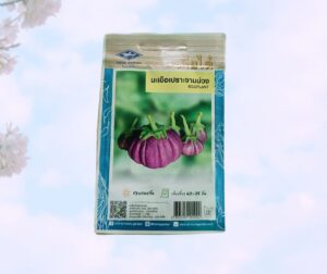 Thai purple eggplant বেগুন