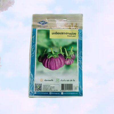 Thai purple eggplant বেগুন