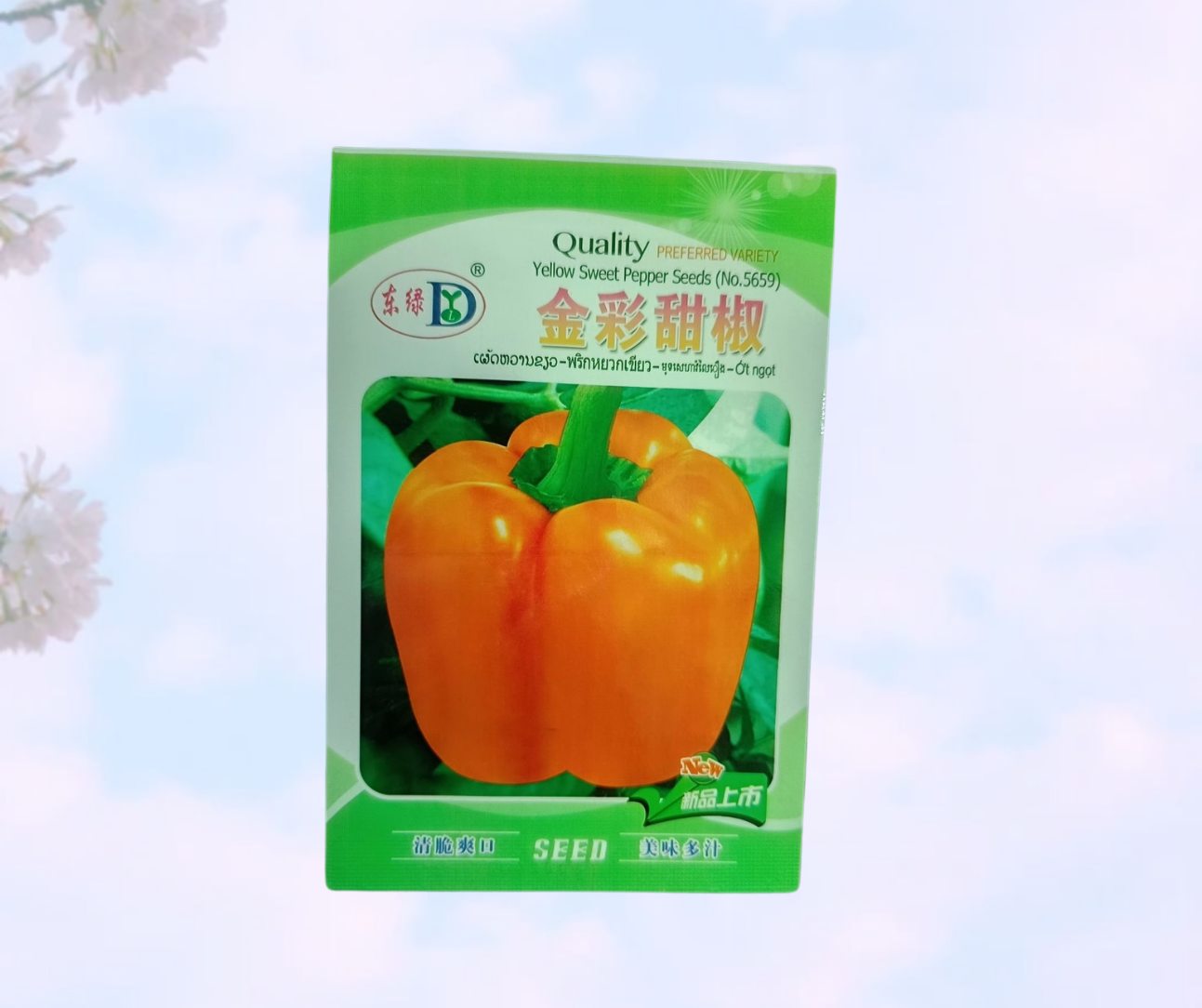 Orange colour capsicum