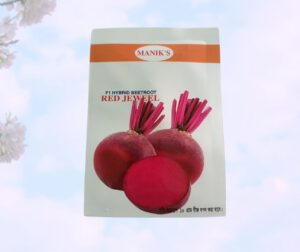 F1 Hybrid Beetroot বিটরুট 10gm