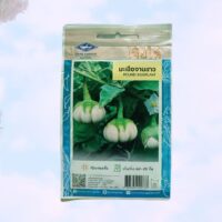 Thai round eggplant বেগুন