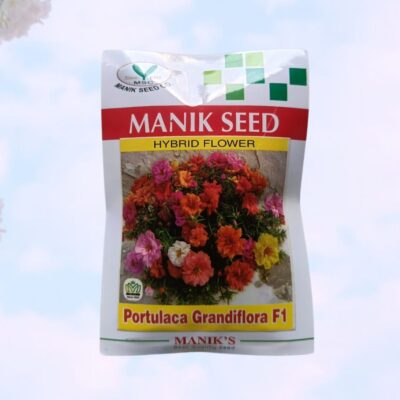 F1 Portulaca Flower (পর্তুলাকা) Seeds Mixed Color