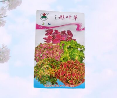 Coleus ornamental plant seed imported