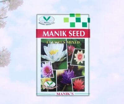 F1 Lotus (পদ্ম) Flower Seed Mixed color