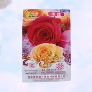 Rose Flower (গোলাপ) Seeds Imported