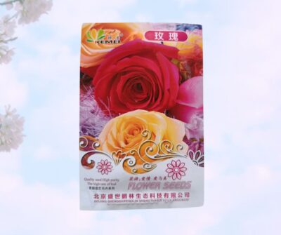 Rose Flower (গোলাপ) Seeds Imported