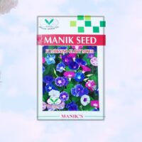 F1 Morning Glory (মর্নিং গ্লোরি) Mixed Color