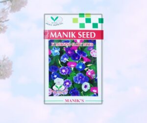 F1 Morning Glory (মর্নিং গ্লোরি) Mixed Color
