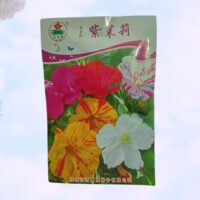 Mirabilis (সন্ধ্যামালতী) Flower Seed Mixed color