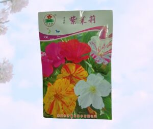 Mirabilis (সন্ধ্যামালতী) Flower Seed Mixed color