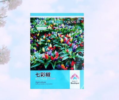 Ornamental chilli কালারিং মরিচ