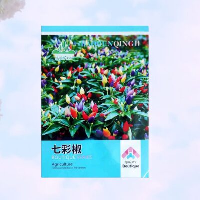 Ornamental chilli কালারিং মরিচ