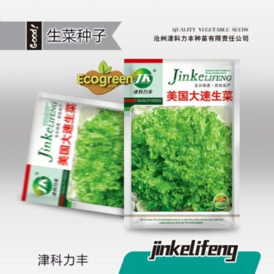 Imported Fast Growing Lettuce লেটুস বীজ