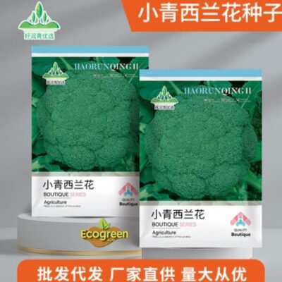 Imported green broccoli 200 seeds ব্রোকলি
