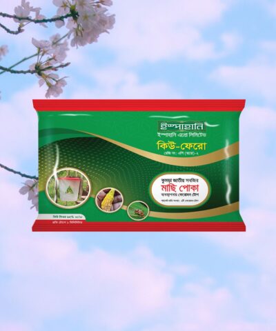 Q-Phero (কিউ-ফেরো) Pheromone Trap