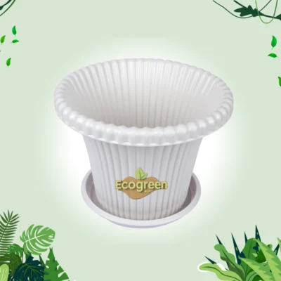 Daisy Flower Tub with Tray 8" White