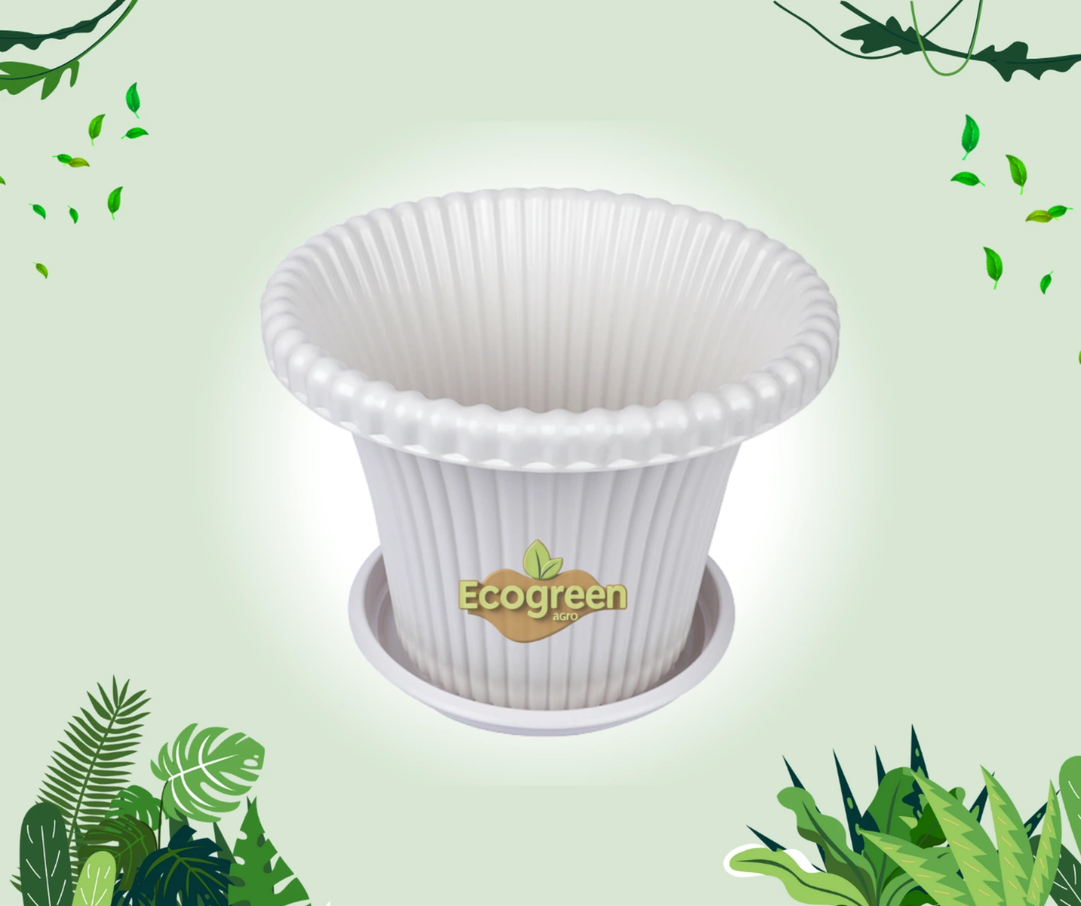 Daisy Flower Tub with Tray 8" White