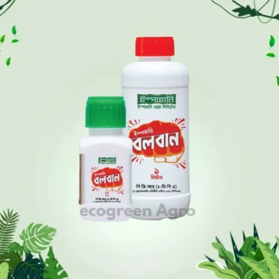 Boloban (4cpa) PGR - 100 ml