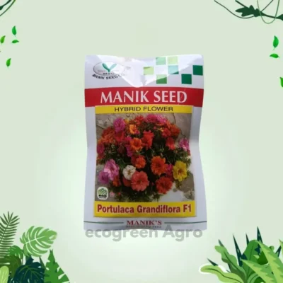 F1 Portulaca Flower (পর্তুলাকা) Seeds Mixed Color