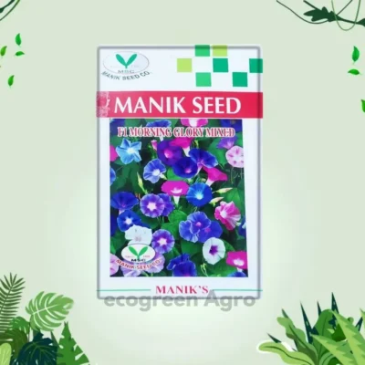 F1 Morning Glory (মর্নিং গ্লোরি) Mixed Color