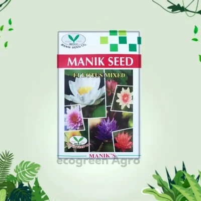 F1 Lotus (পদ্ম) Flower Seed Mixed color